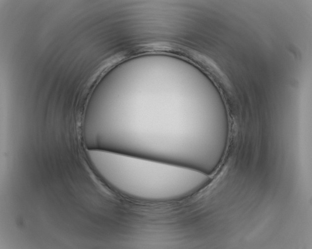 X0000114101225200910051223