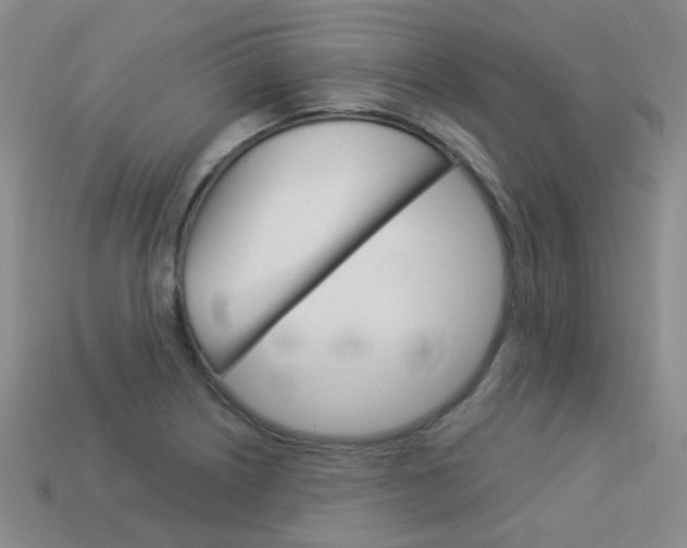 X0000114101226200910051223
