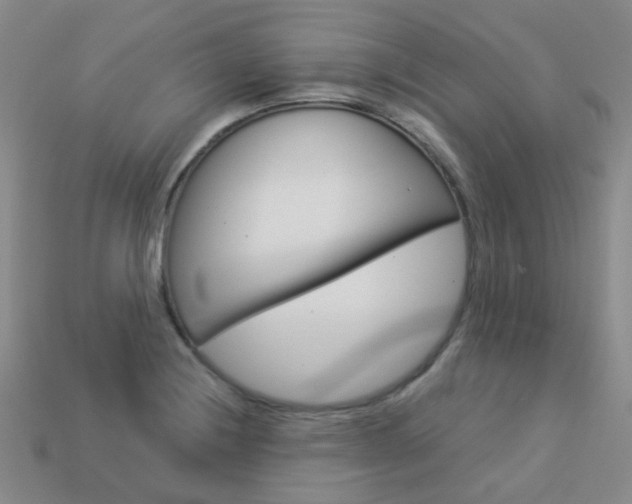 X0000114101228200910051223