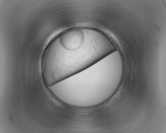 X0000114101230200910051224