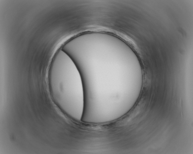 X0000114101231200910051224