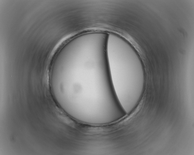 X0000114101232200910051224