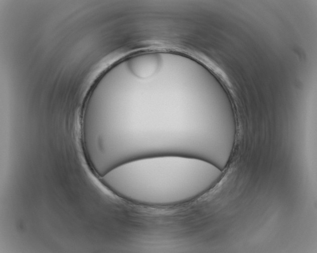 X0000114101239200910051224