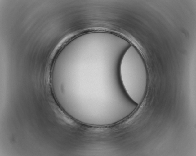X0000114101240200910051224