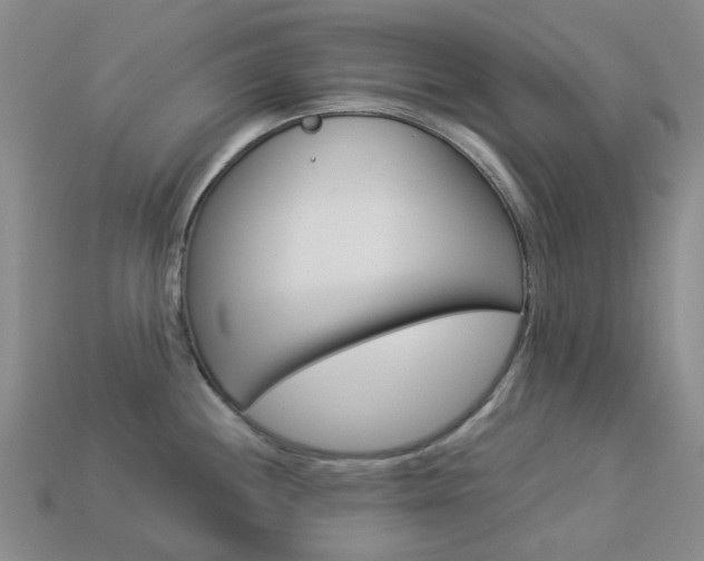 X0000114101244200910051224