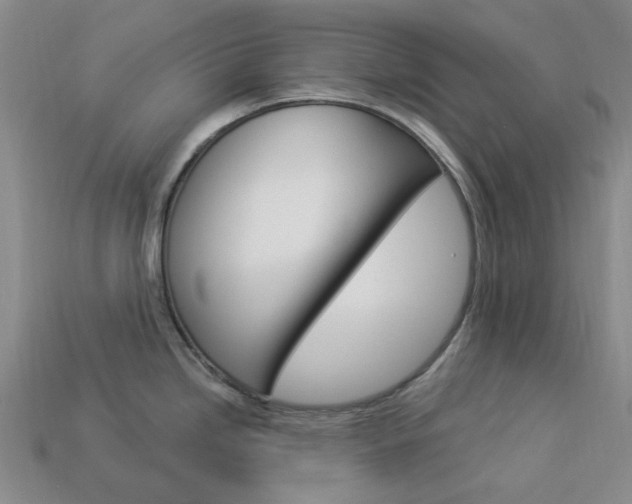 X0000114101246200910051224