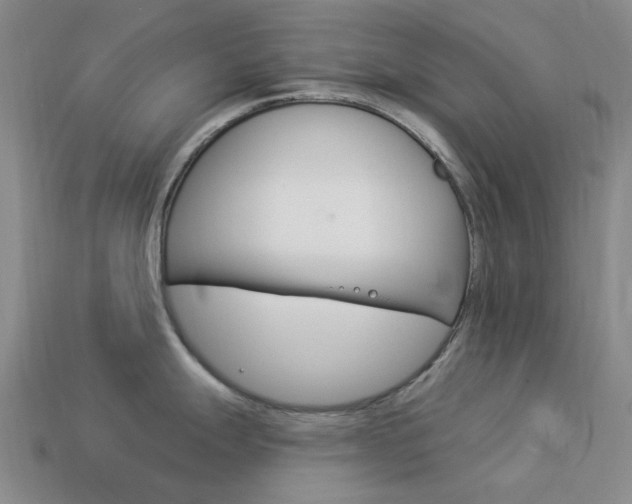 X0000114101247200910051224