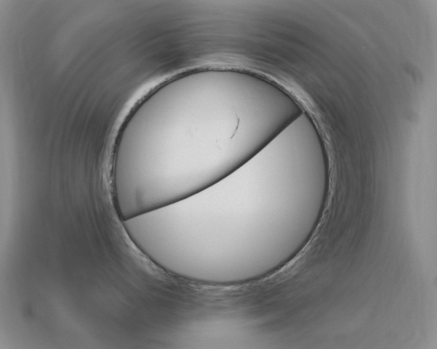 X0000114101248200910051224