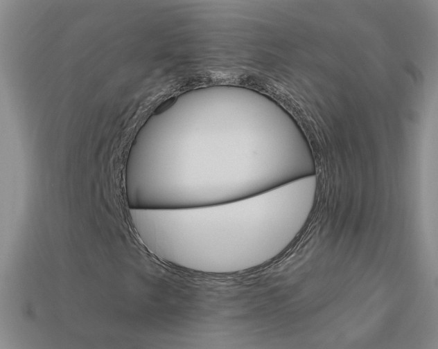 X0000114101249200910051223