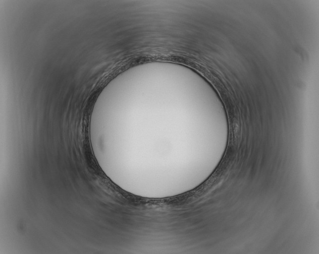 X0000114101250200910051223