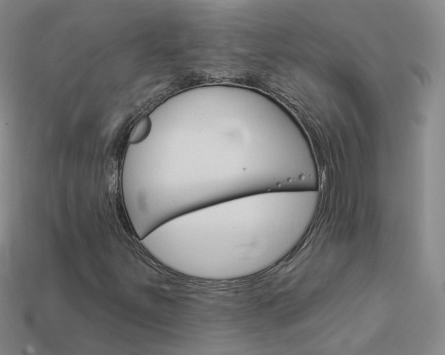 X0000114101251200910051223