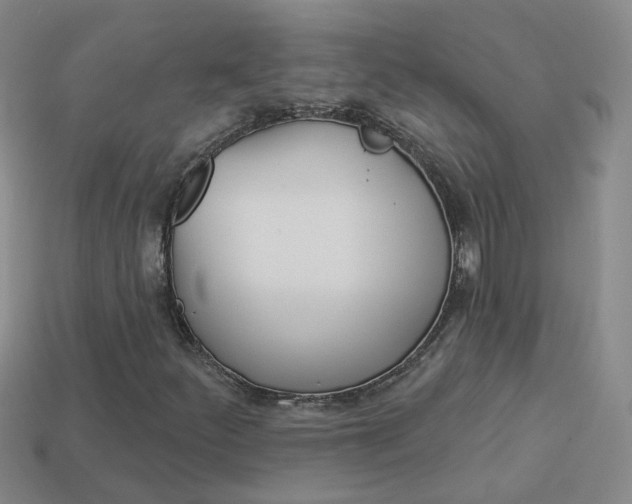 X0000114101252200910051223
