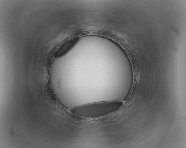 X0000114101253200910051223
