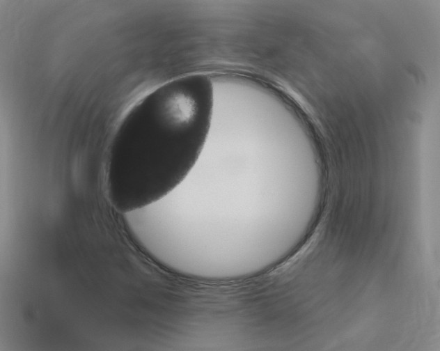 X0000114101259200910051223