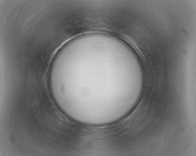 X0000114101260200910051223