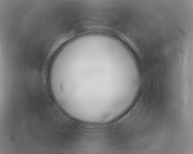 X0000114101261200910051223