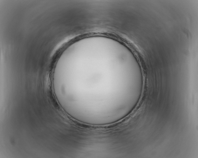 X0000114101262200910051223