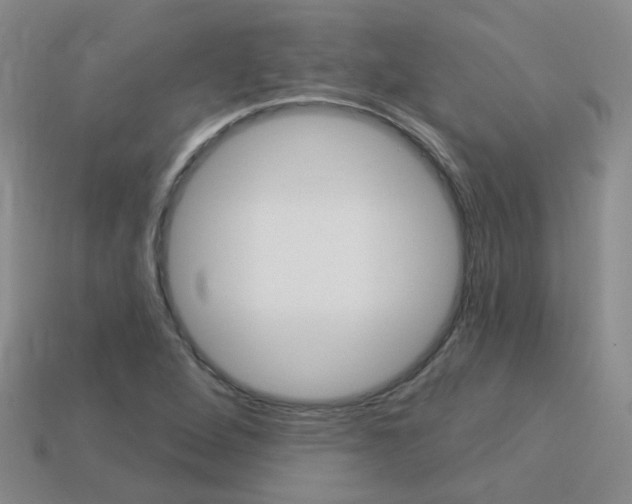 X0000114101264200910051223