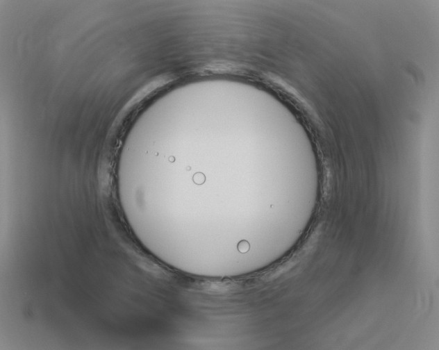 X0000114101266200910051223