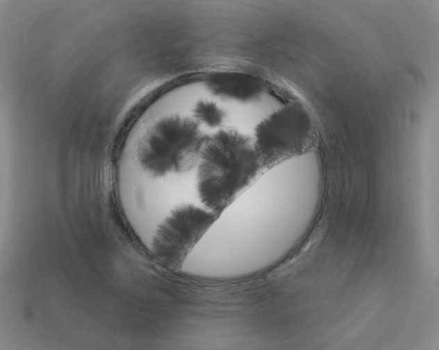X0000114101267200910051223