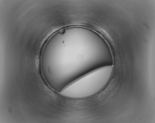X0000114101268200910051223
