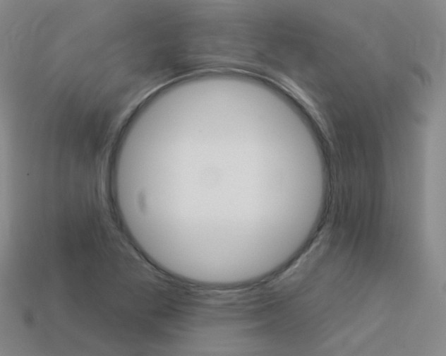X0000114101269200910051223