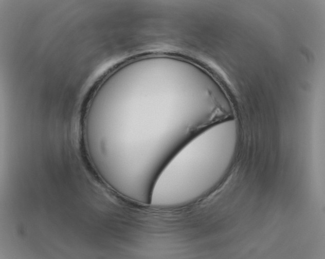 X0000114101270200910051223