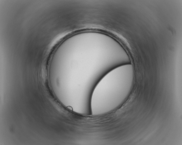 X0000114101271200910051223
