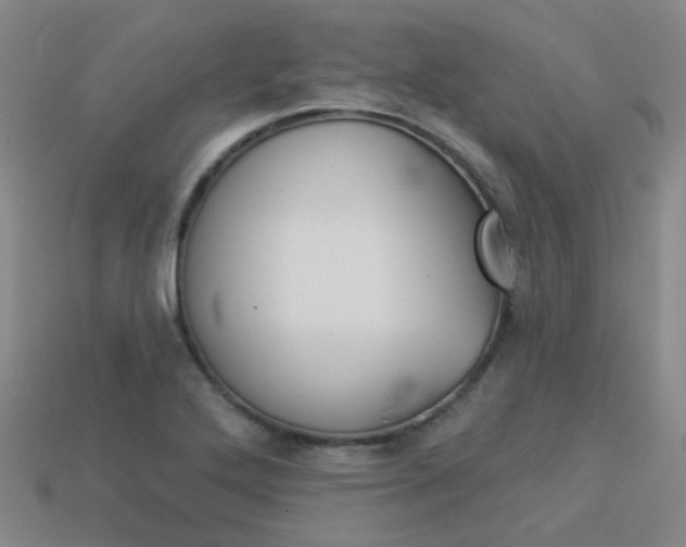 X0000114101272200910051223