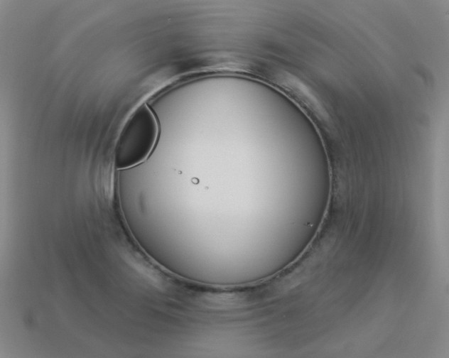 X0000114101276200910051223