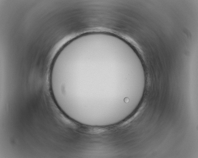 X0000114101278200910051223