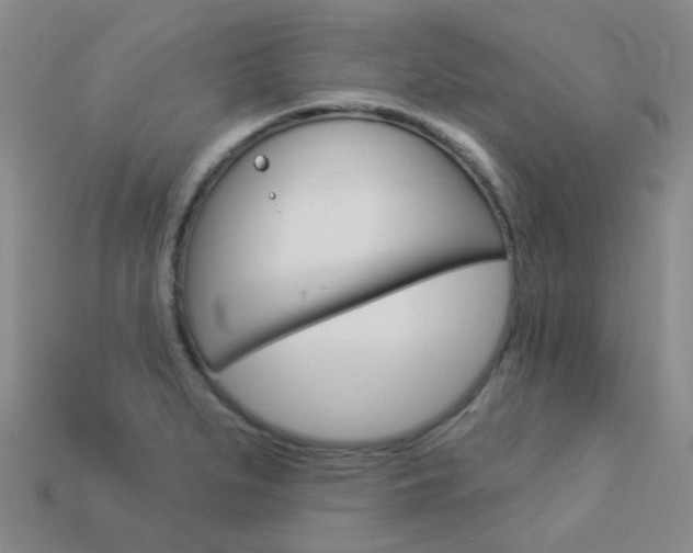 X0000114101279200910051223