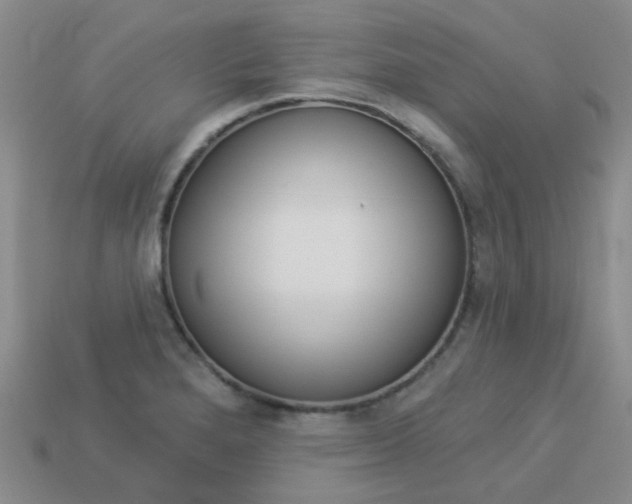 X0000114101280200910051223