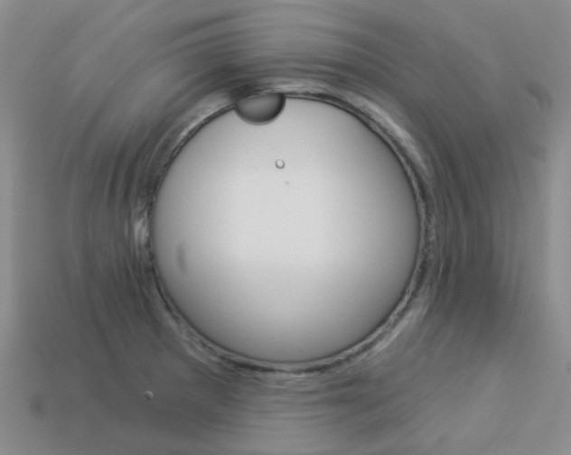 X0000114101281200910051223