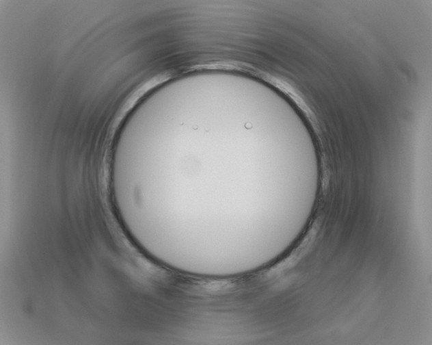 X0000114101282200910051223