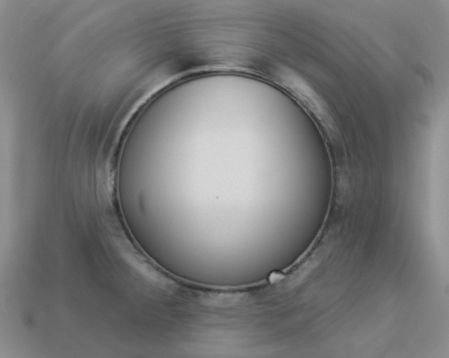 X0000114101284200910051223