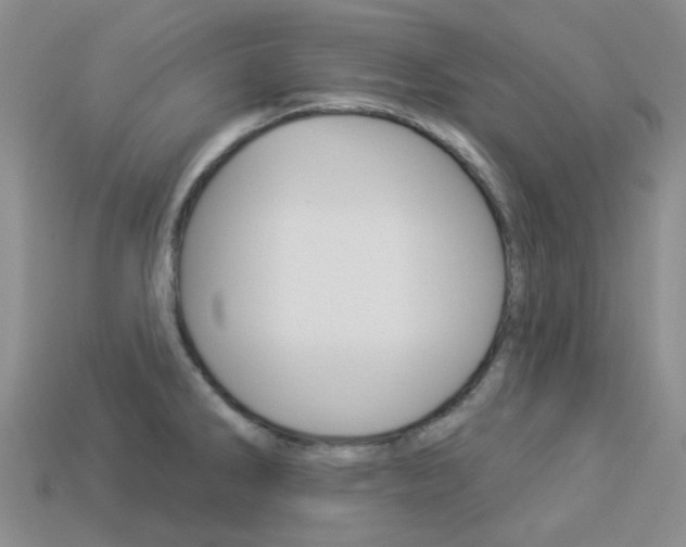 X0000114101286200910051223