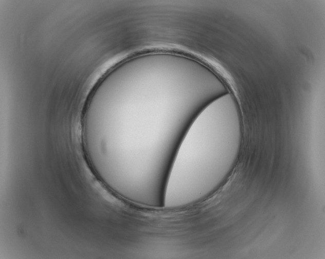 X0000114101287200910051223