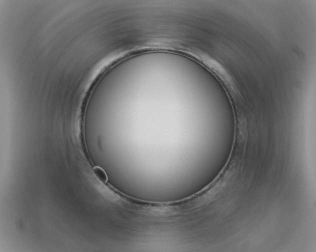 X0000114101288200910051223