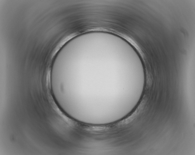 X0000114101290200910051223