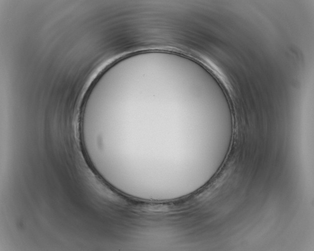 X0000114101291200910051223