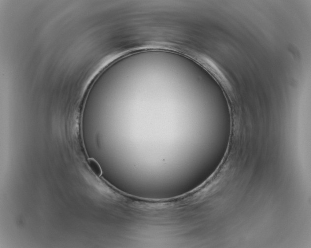 X0000114101292200910051223