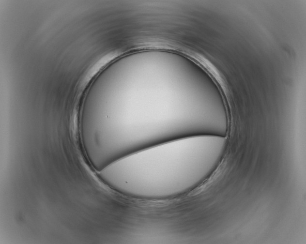 X0000114101293200910051223