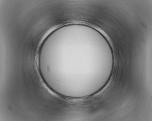 X0000114101294200910051223