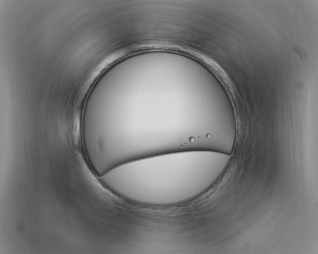 X0000114101295200910051223