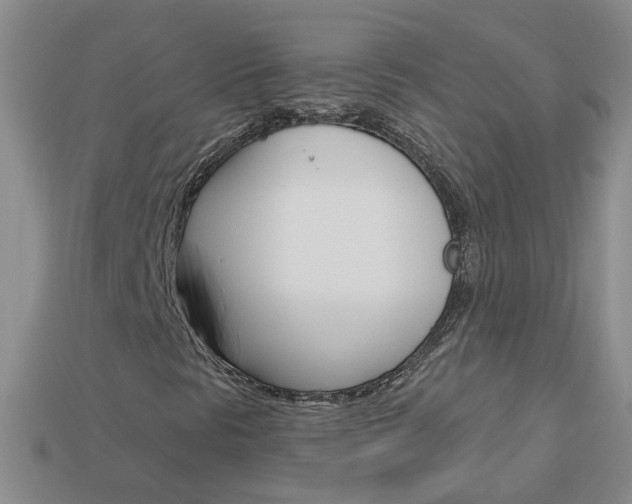 X0000114101297200910051222