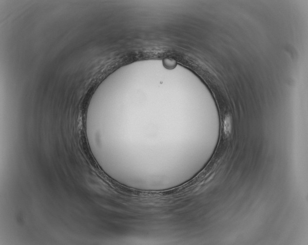 X0000114101299200910051222