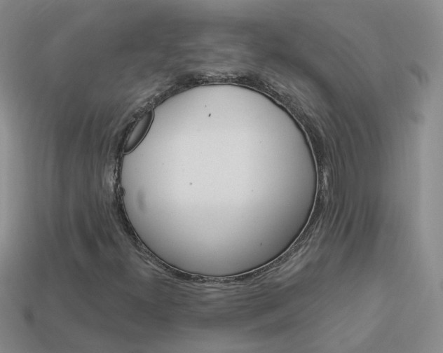 X0000114101300200910051222