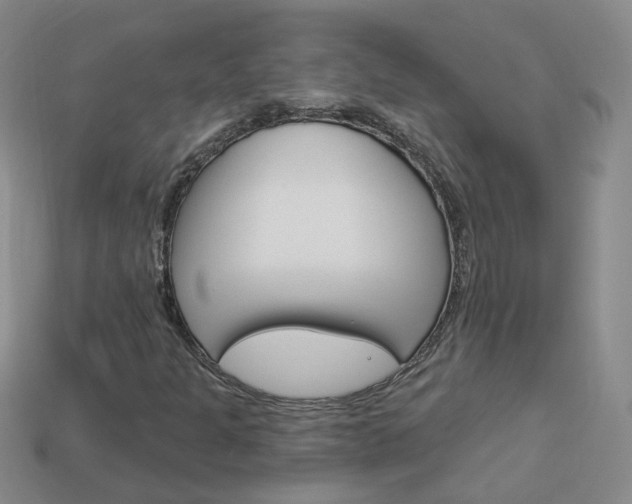 X0000114101301200910051222