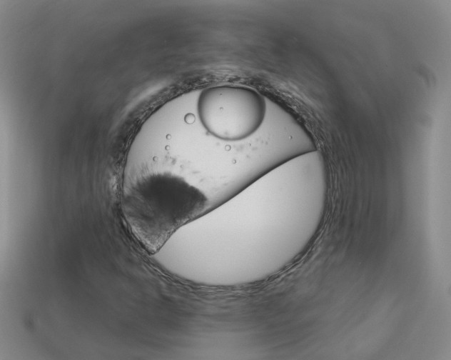 X0000114101302200910051222